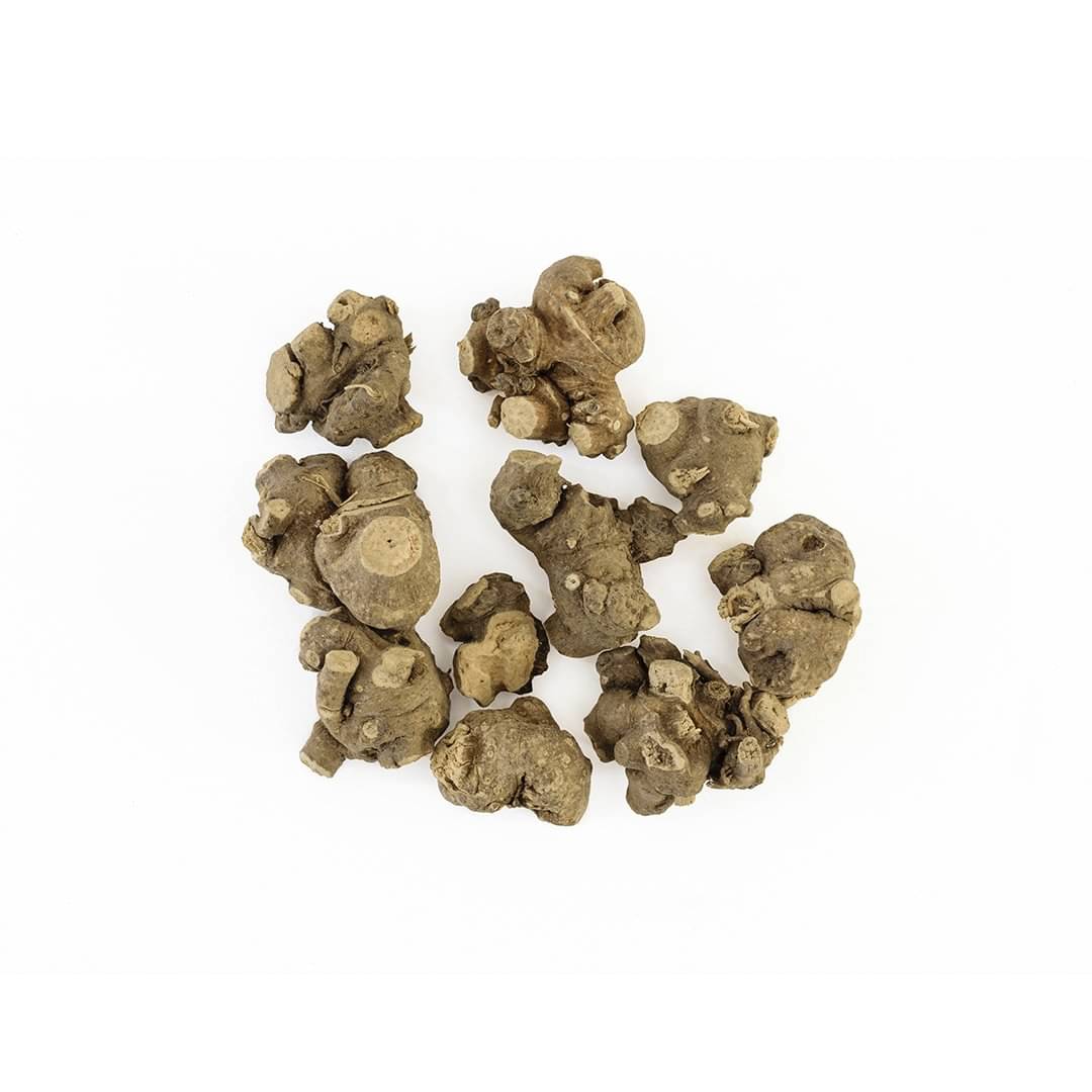     			Nutrixia Food Piplamool Ganthoda / Pipramul / पिपरामुल Raw Herbs 50 gm