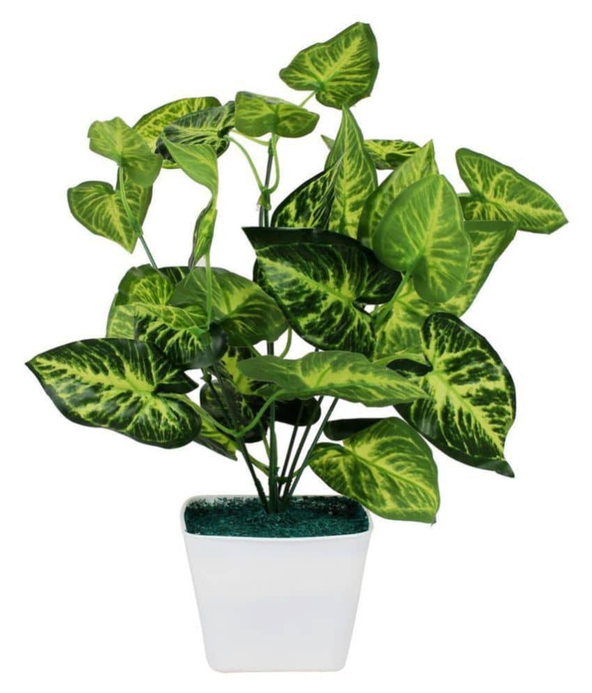 Green plant indoor Artificial Money Plants Multicolour Bonsai Plastic - Pack of 1