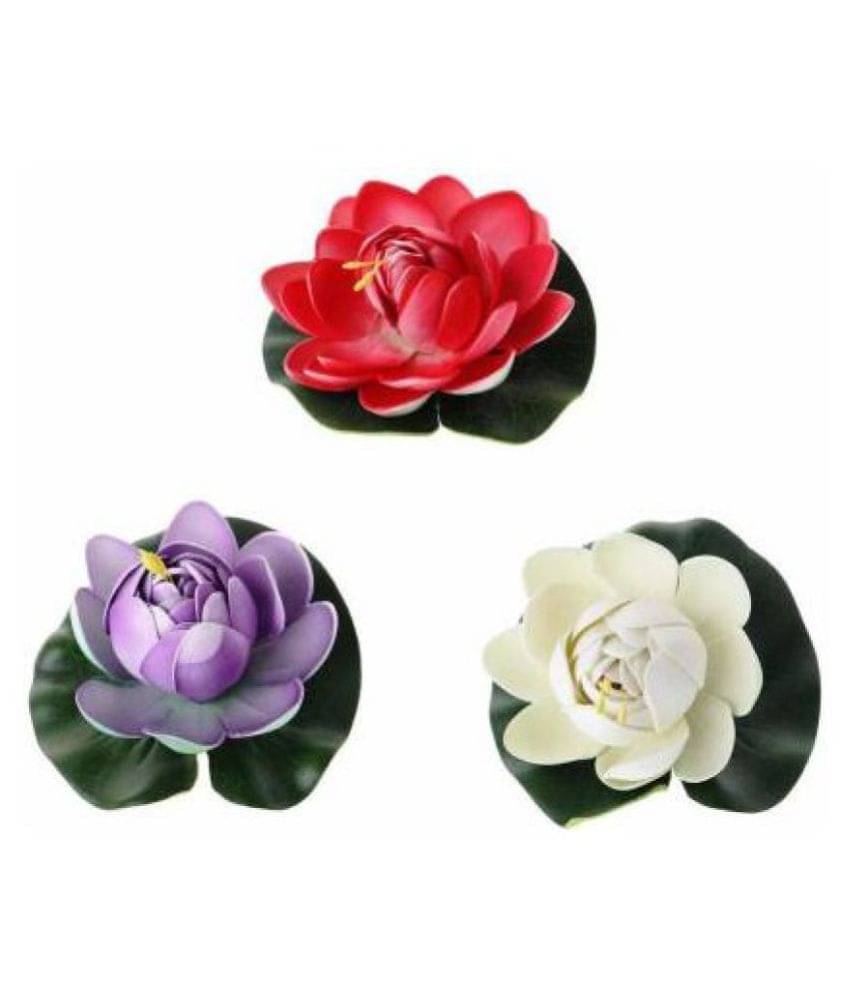 Green plant indoor Lotus Multicolour Floating Flowers - Pack of 3     			Green plant indoor Lotus Multicolour Floating Flowers - Pack of 3