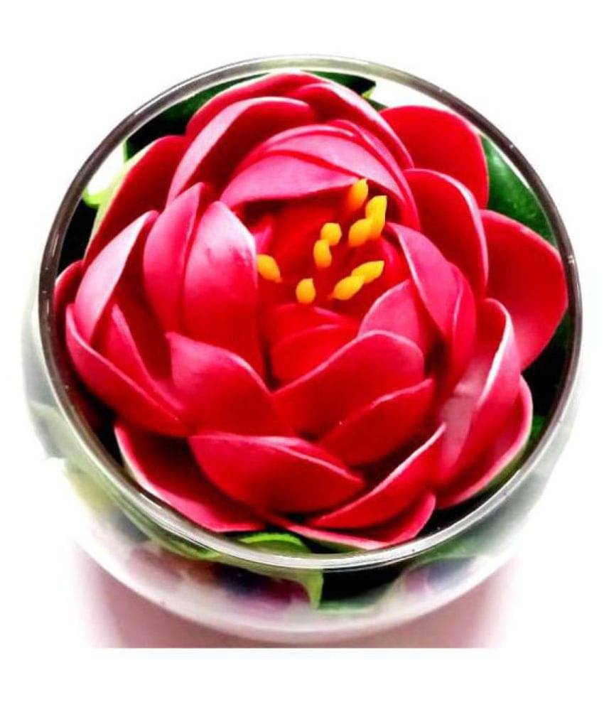 Green plant indoor Lotus Multicolour Flowers With Pot - Pack of 1 Green plant indoor Lotus Multicolour Flowers With Pot - Pack of 1