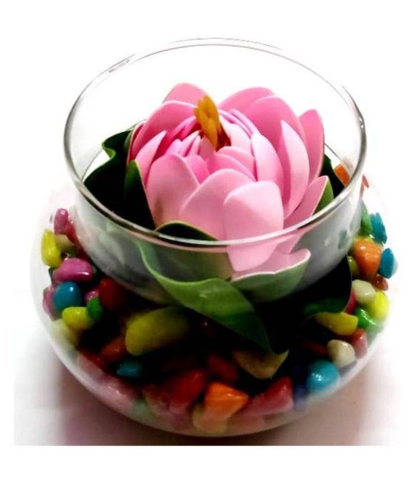     			Green plant indoor Lotus Multicolour Flowers With Pot - Pack of 1