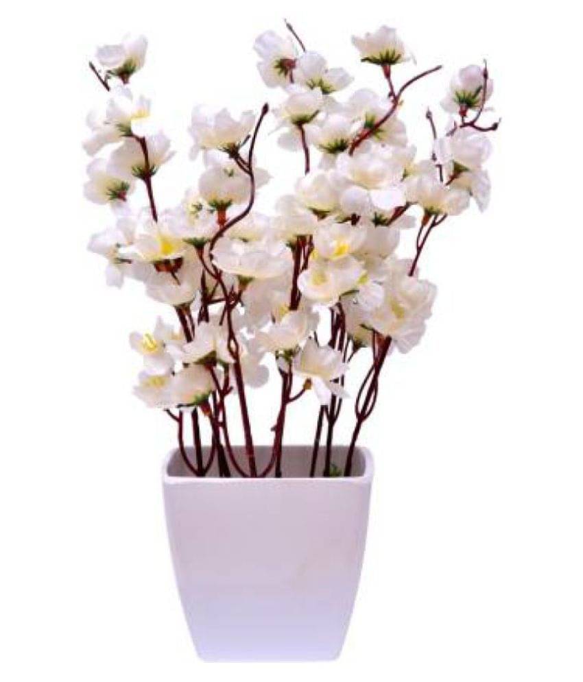 Green plant indoor Orchids White Flowers With Pot - Pack of 1     			Green plant indoor Orchids White Flowers With Pot - Pack of 1