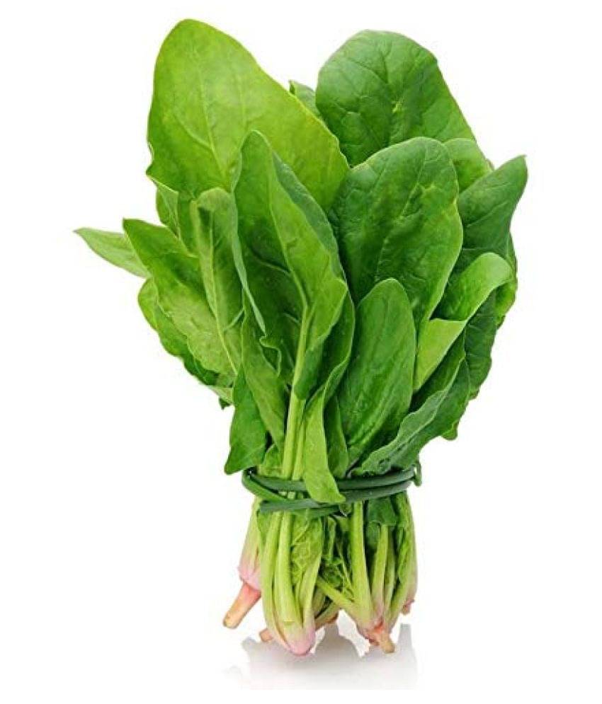     			saraswati garden Spinach (Palak) Vegetables - 100 Seeds Pack