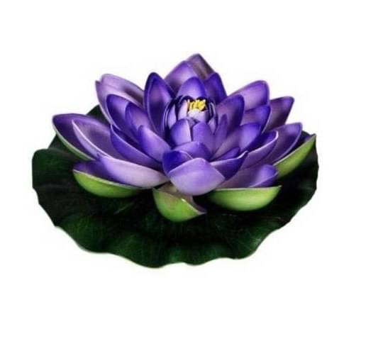 Green plant indoor Lotus Blue Floating Flowers - Pack of 1 Green plant indoor Lotus Blue Floating Flowers - Pack of 1