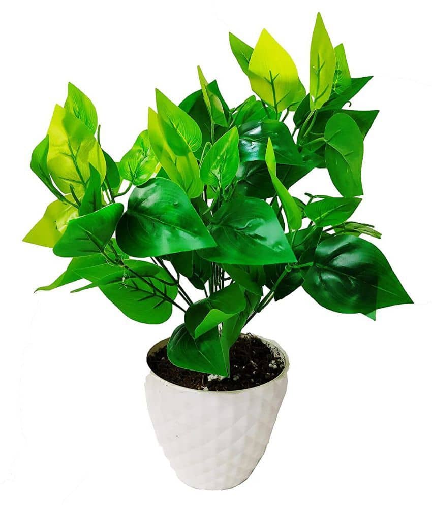 Green plant indoor Artificial Money Plants Multicolour Bonsai Plastic - Pack of 1