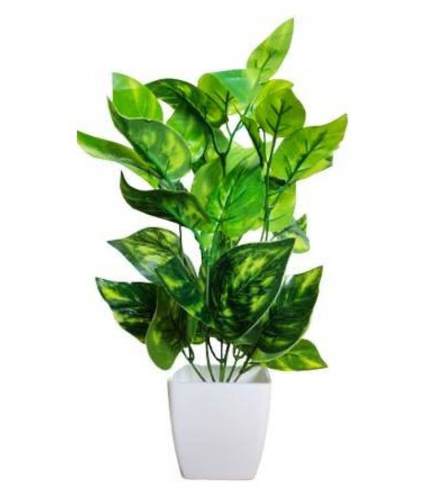 Green plant indoor Artificial Money Plants Green Bonsai Plastic - Pack of 1