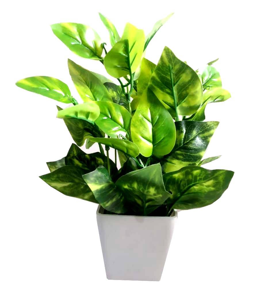 Green plant indoor Artificial Money Plant Multicolour Bonsai Plastic - Pack of 1