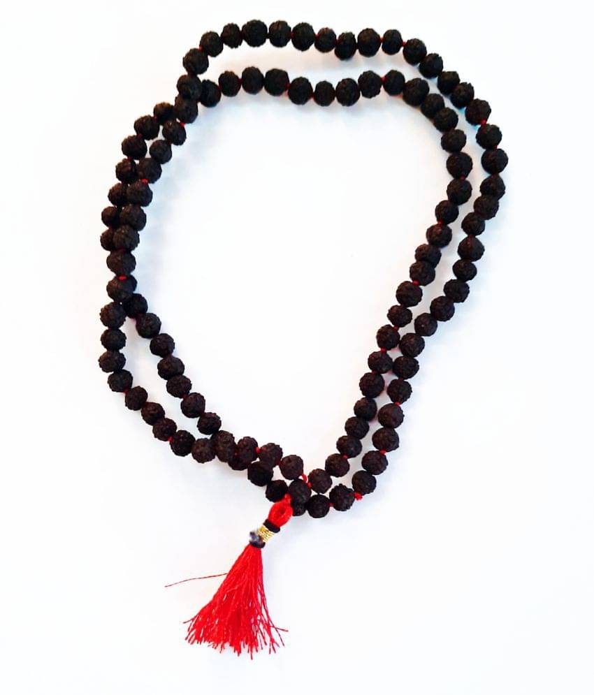     			Black 5 Mukhi Rudraksha 8mm