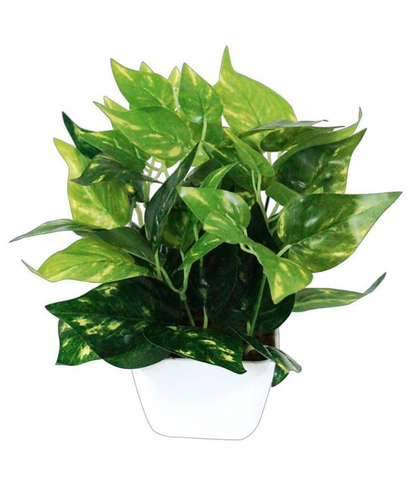 Green plant indoor Artificial Money Plants Multicolour Bonsai Plastic - Pack of 1