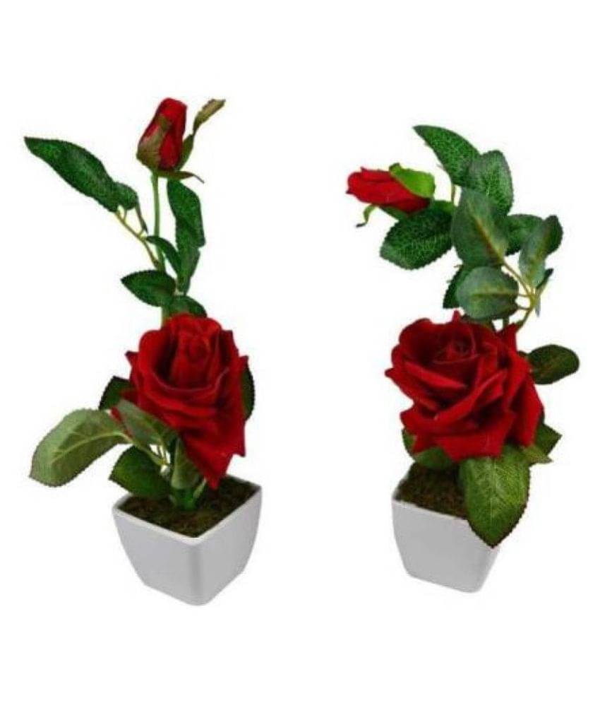 Green plant indoor Rose Red Flowers With Pot - Pack of 2 Green plant indoor Rose Red Flowers With Pot - Pack of 2