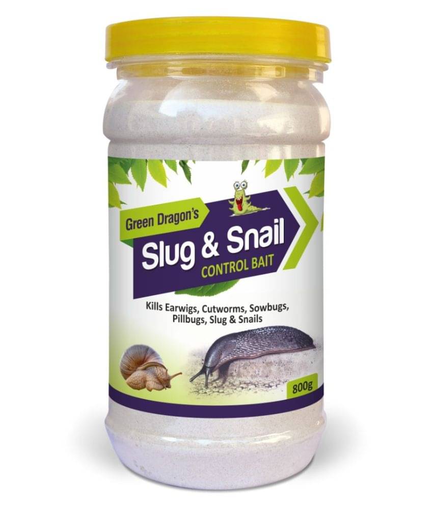 Green Dragon All Insect Paste Slug & Snail Control Bait Green Dragon All Insect Paste Slug & Snail Control Bait
