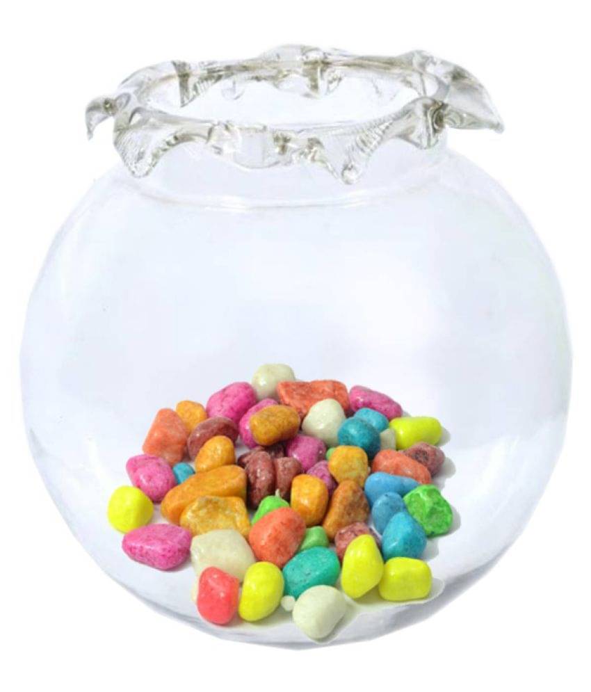 AFAST Transparent Round Glass Fish Pot For Zoom View With Colorful Stones, 6 Inch Table Top     			AFAST Transparent Round Glass Fish Pot For Zoom View With Colorful Stones, 6 Inch Table Top