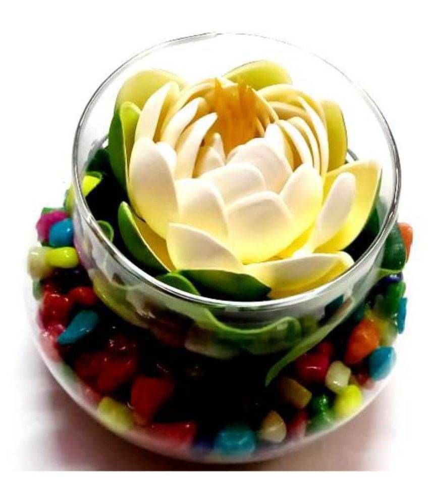     			Green plant indoor Lotus Multicolour Flowers With Pot - Pack of 1
