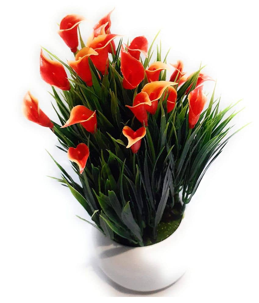 Green plant indoor Wild Flower Multicolour Flowers With Pot - Pack of 1