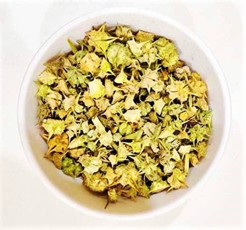 Nutrixia Food Gokhru / गोखरू / Caltrops Seeds Raw Herbs 1000 gm