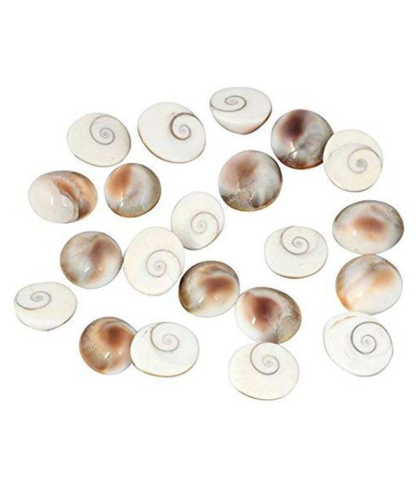     			RUDRA DIVINE Gomati chakra original (12 Piece) 100% Natural & Real Gomti Chakra from Gomti River