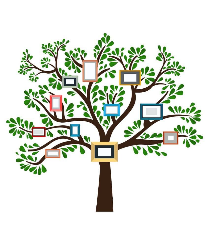 Wallzone Big Photo Tree Sticker ( 120 x 100 cms )