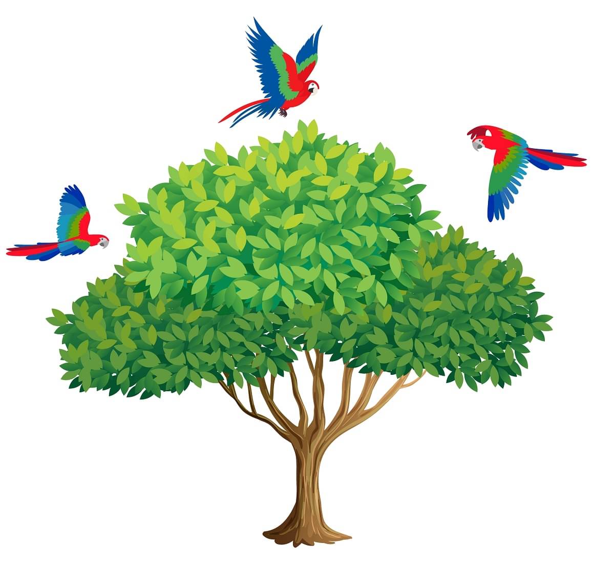 Wallzone Colorfull Birds On Tree Sticker ( 80 x 90 cms ) Wallzone Colorfull Birds On Tree Sticker ( 80 x 90 cms )