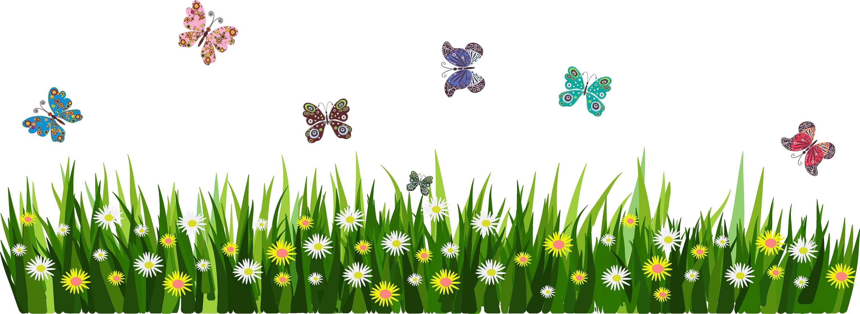 Wallzone Grass & Colorfull Butterfly Sticker ( 120 x 40 cms )