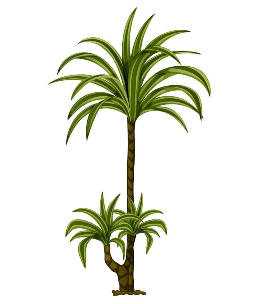     			Wallzone Tree Sticker ( 50 x 80 cms )