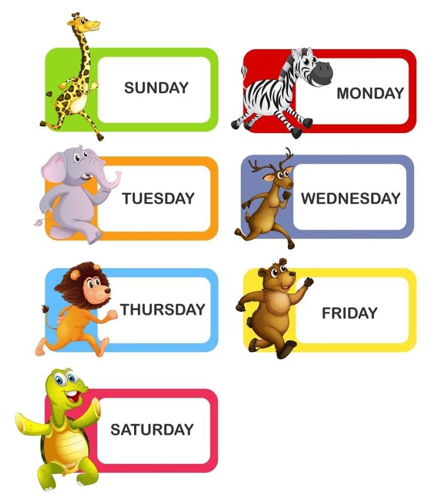     			Wallzone Weeks Sticker ( 90 x 60 cms )