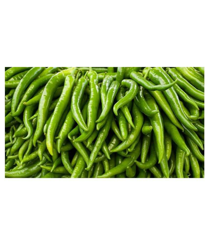     			Gardens Indoor Dwarf Hybrid Vegetable Chilli SeedS(50 per packet) + Instruction Manual