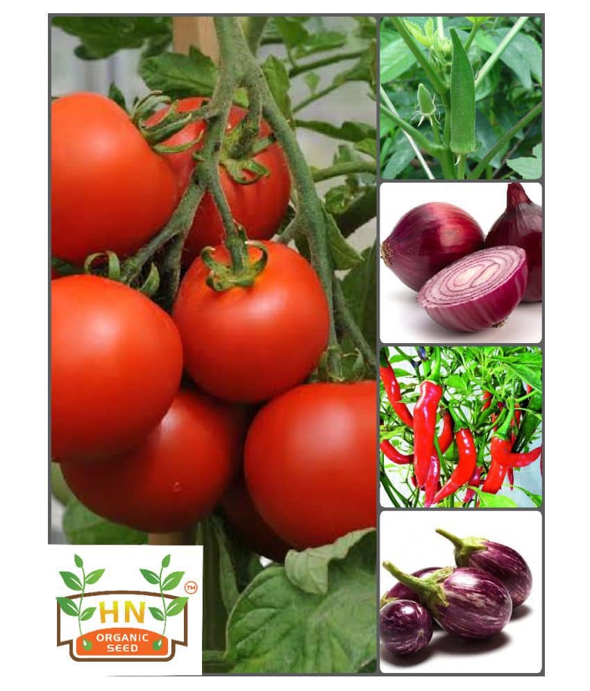 Vegetable Seeds combo for all Season - 65 + seed with Instruction Manual