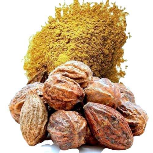 Nutrixia Food Harad Without Seeds Powder Powder 950 Gm Pack of 1 Nutrixia Food Harad Without Seeds Powder Powder 950 Gm Pack of 1