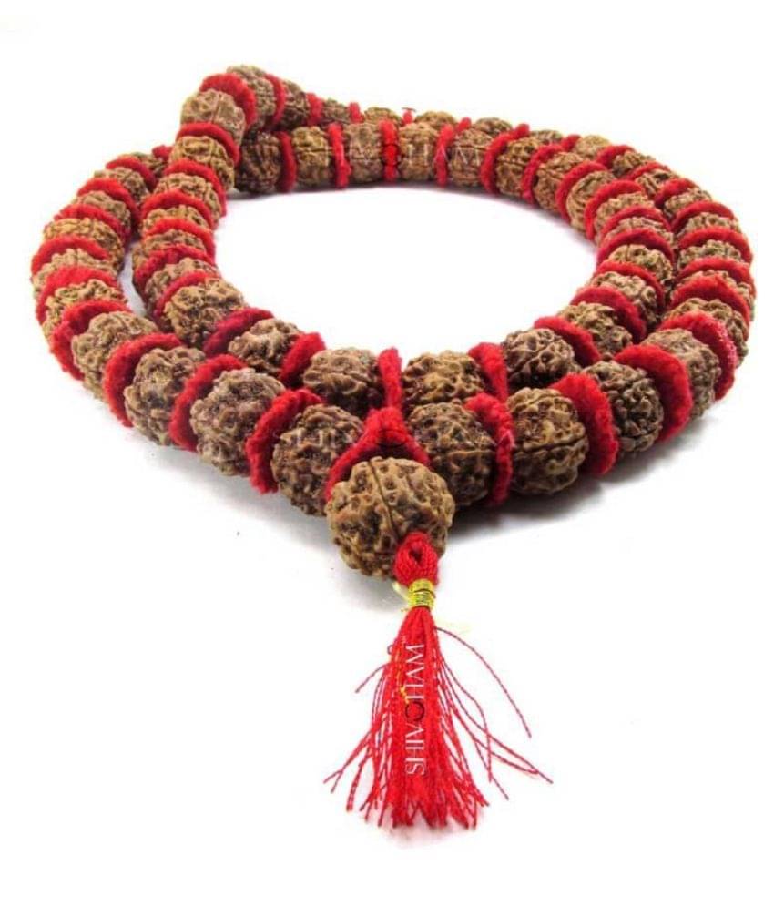     			ShivaRatna 54+1 Beads Rudraksha Kantha Mala (5 Mukhi Rudraksha) (Beads Size 18-20mm Approx)