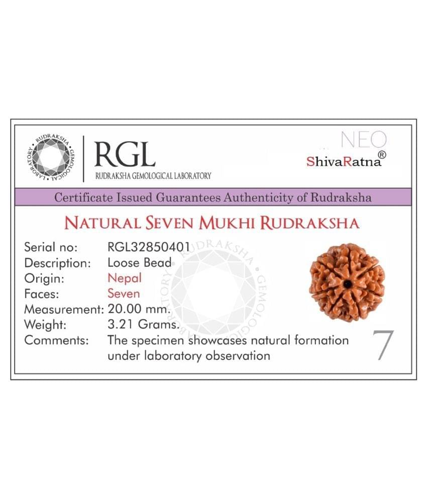 ShivaRatna 7 Mukhi Lab Certified Rudraksha (Origin Nepal) Good Shape & Matured Bead ShivaRatna 7 Mukhi Lab Certified Rudraksha (Origin Nepal) Good Shape & Matured Bead