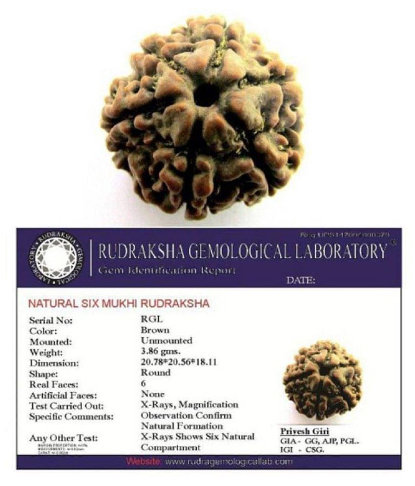 ShivaRatna 6 Mukhi Rudraksha Certified (Hand Picked Matured Nepali Bead) ShivaRatna 6 Mukhi Rudraksha Certified (Hand Picked Matured Nepali Bead)