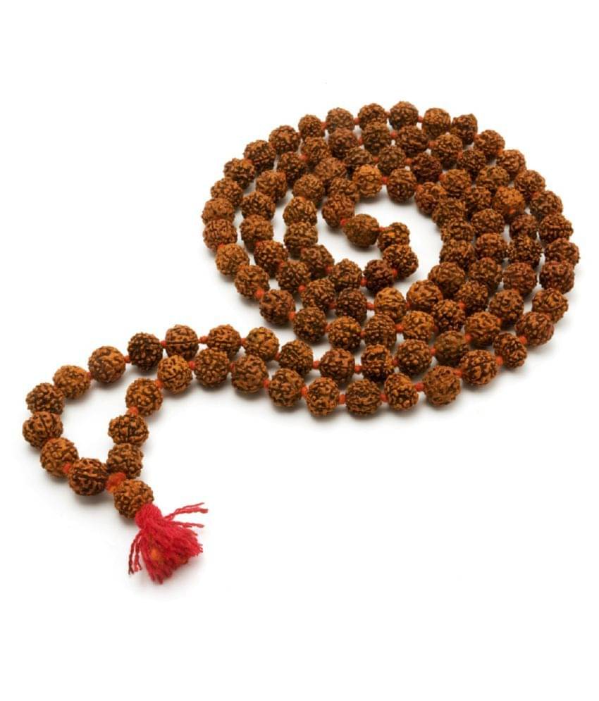     			ShivaRatna 6 Mukhi Rudraksha Mala (108+1) Beads