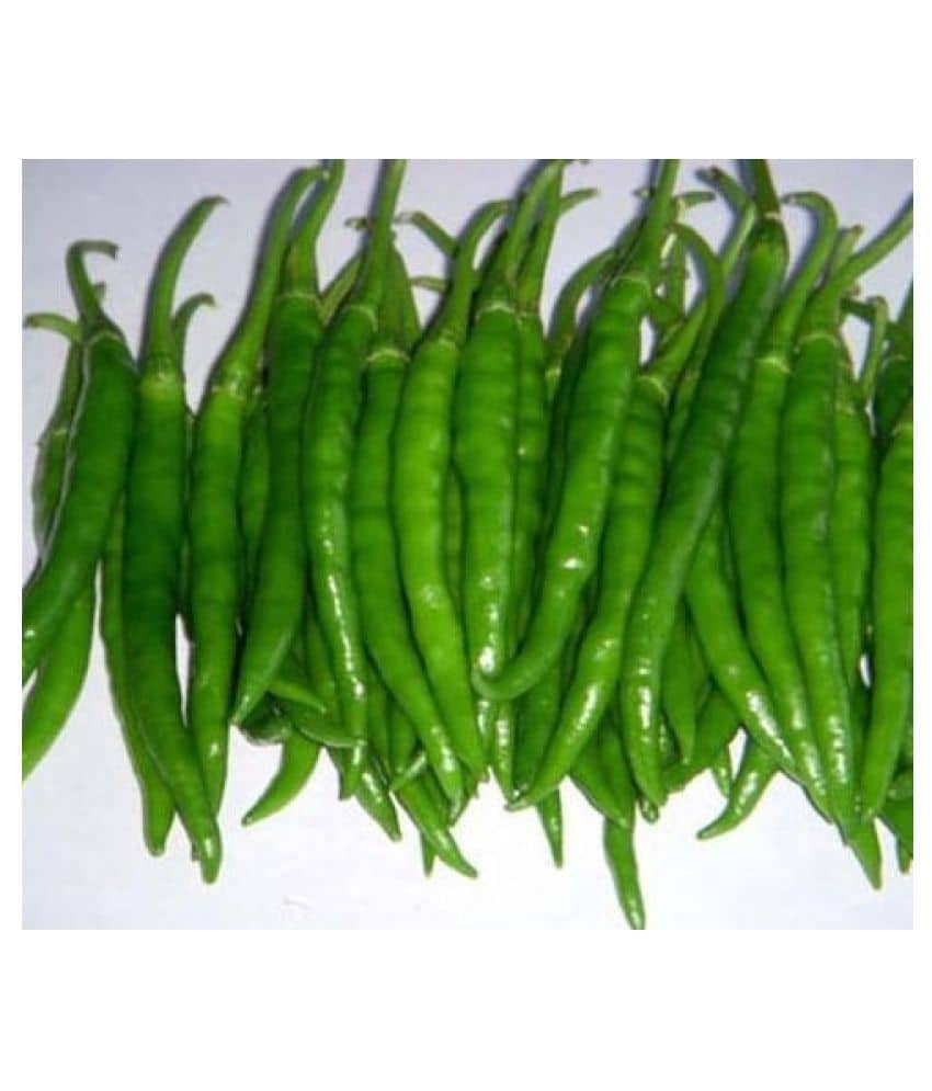 Best Hybrid Chilli Seeds - 50 + Instruction Manual