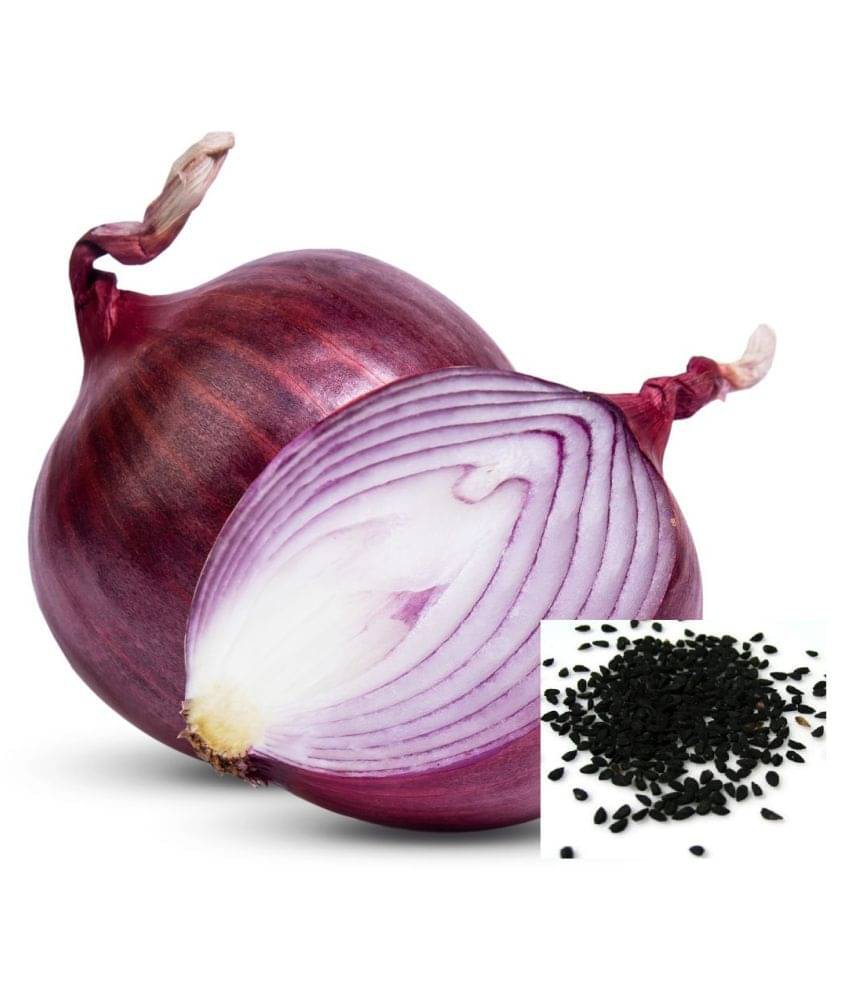 OLD STORE RED ONION 500 FRESH SEEDS PACK WITH MANUAL OLD STORE RED ONION 500 FRESH SEEDS PACK WITH MANUAL