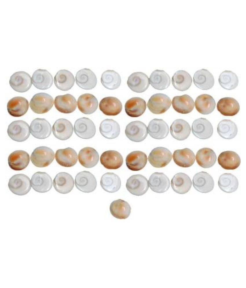 Shri Astha Vinayak Saptraag 51Pc Gomti Chakra 1.5cm Stoneware Yantra Shri Astha Vinayak Saptraag 51Pc Gomti Chakra 1.5cm Stoneware Yantra