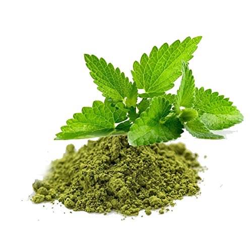 Nutrixia Food Basil Leaf Powder,Tulsi Patta Powder 50 Gm Pack of 1 Nutrixia Food Basil Leaf Powder,Tulsi Patta Powder 50 Gm Pack of 1