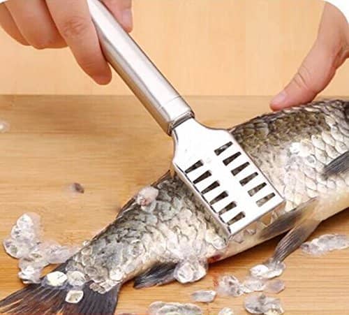 Idream Stainless Steel Fish Descaler, Scale Remover