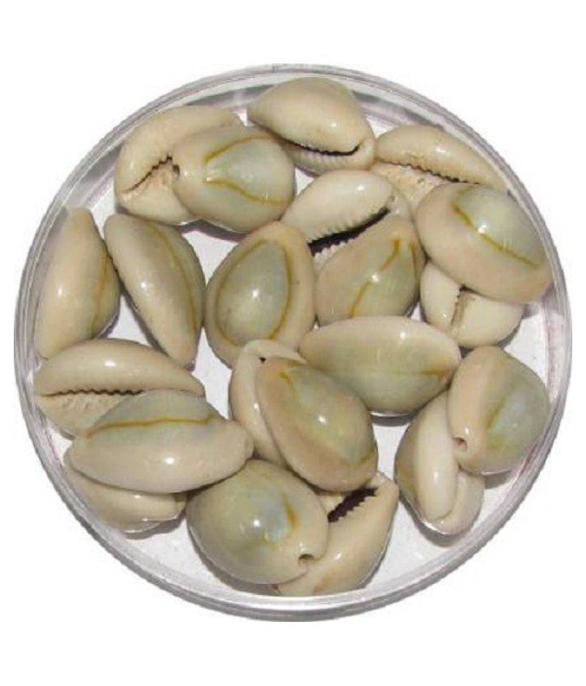     			Shri Astha Vinayak - Stone Kowdi (Pack of 1)