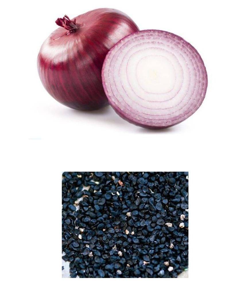 OLD STORE RED ONION 200 SEEDS PACK WITH INSTRUCTION MANUAL OLD STORE RED ONION 200 SEEDS PACK WITH INSTRUCTION MANUAL