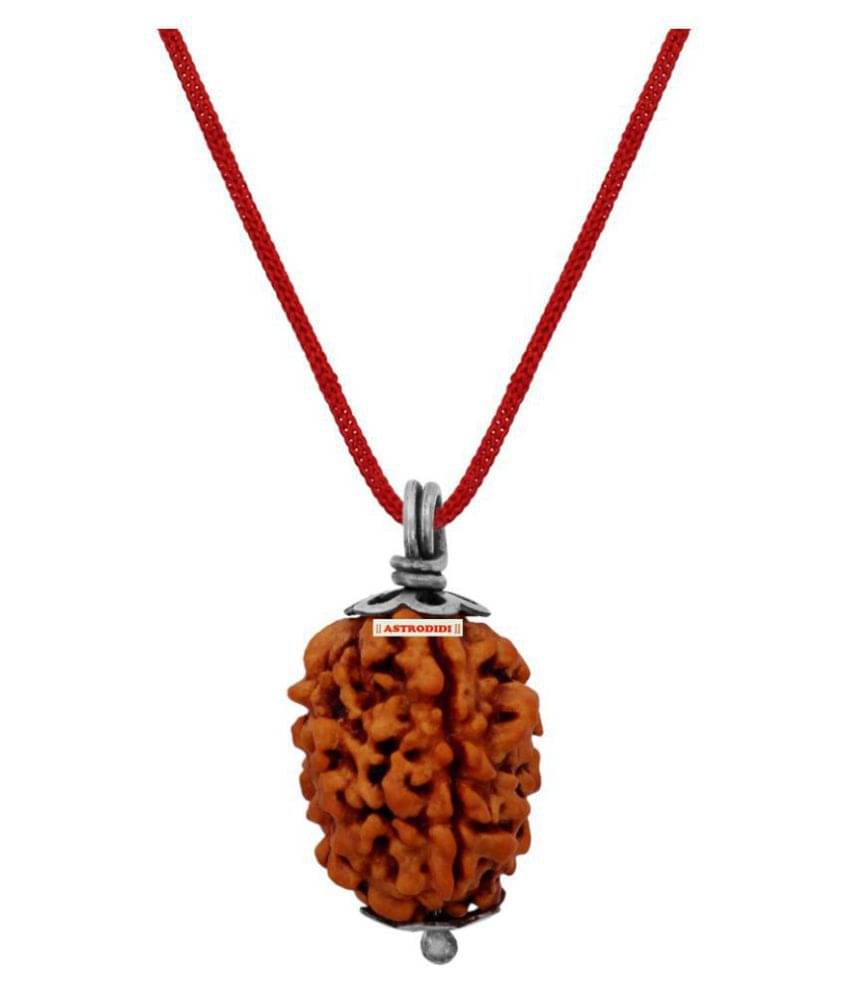     			Astrodidi 3 Mukhi Rudraksha With Lab Certified