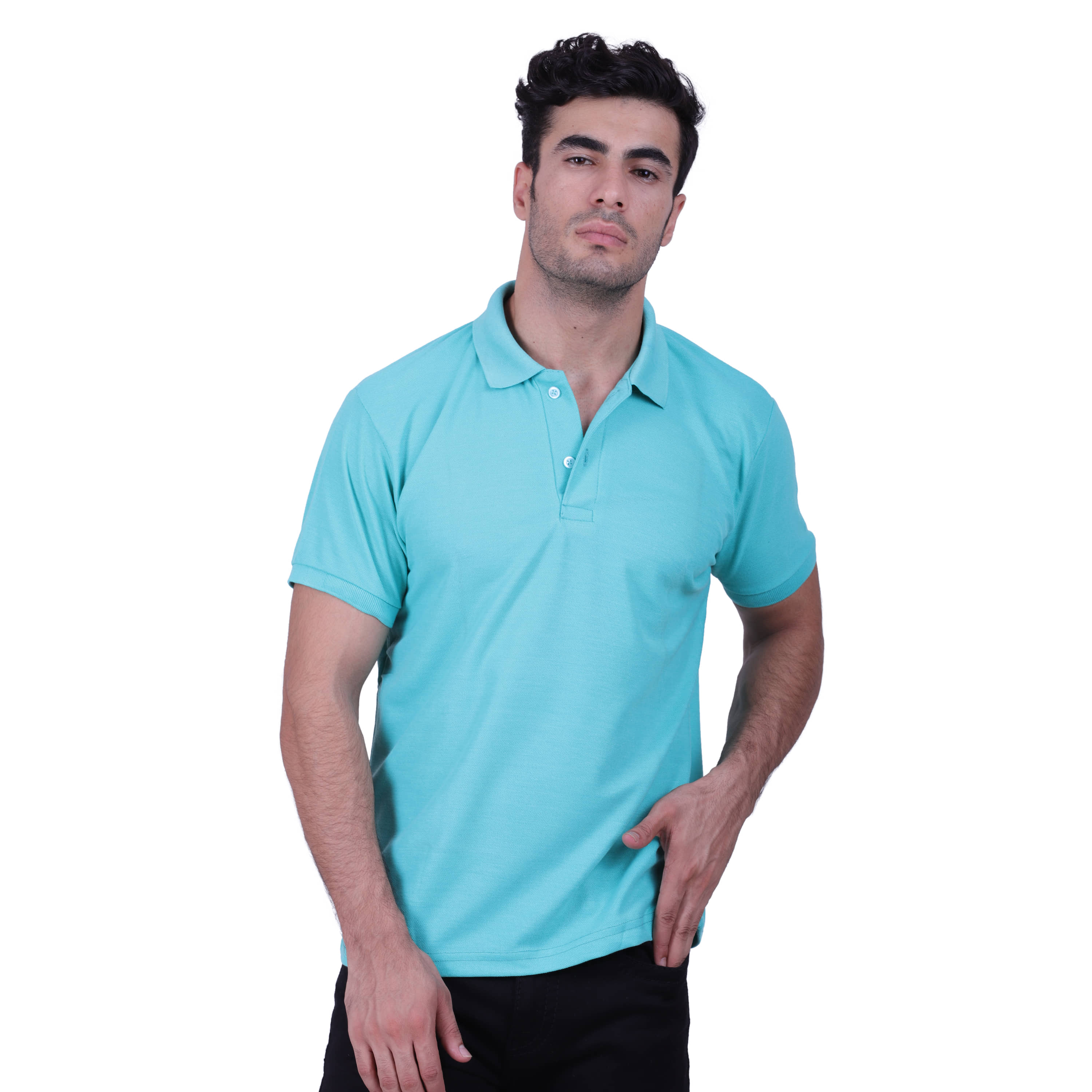 HVN Pack of 1 Cotton Blend Regular Fit Plain Men's Polo T Shirt ( Green )