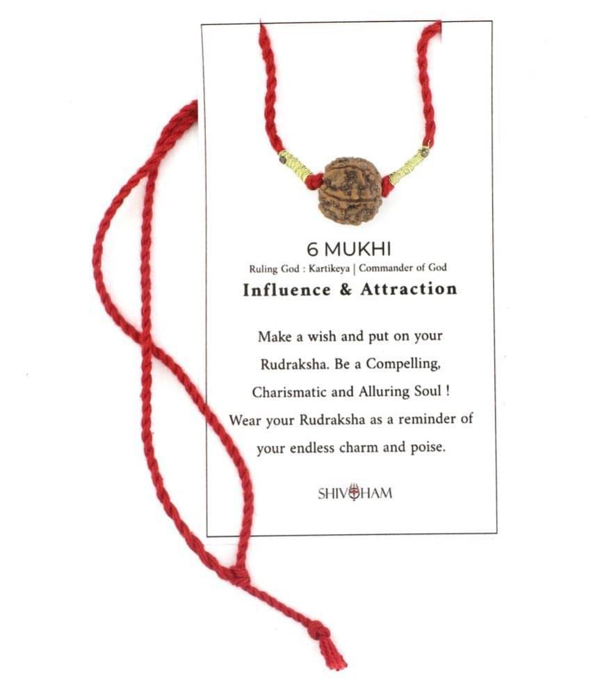ShivaRatna 6 Mukhi Rudraksha Nepali Rudraksha with Cotton Dori (Premium Quality Rudraksha) ShivaRatna 6 Mukhi Rudraksha Nepali Rudraksha with Cotton Dori (Premium Quality Rudraksha)