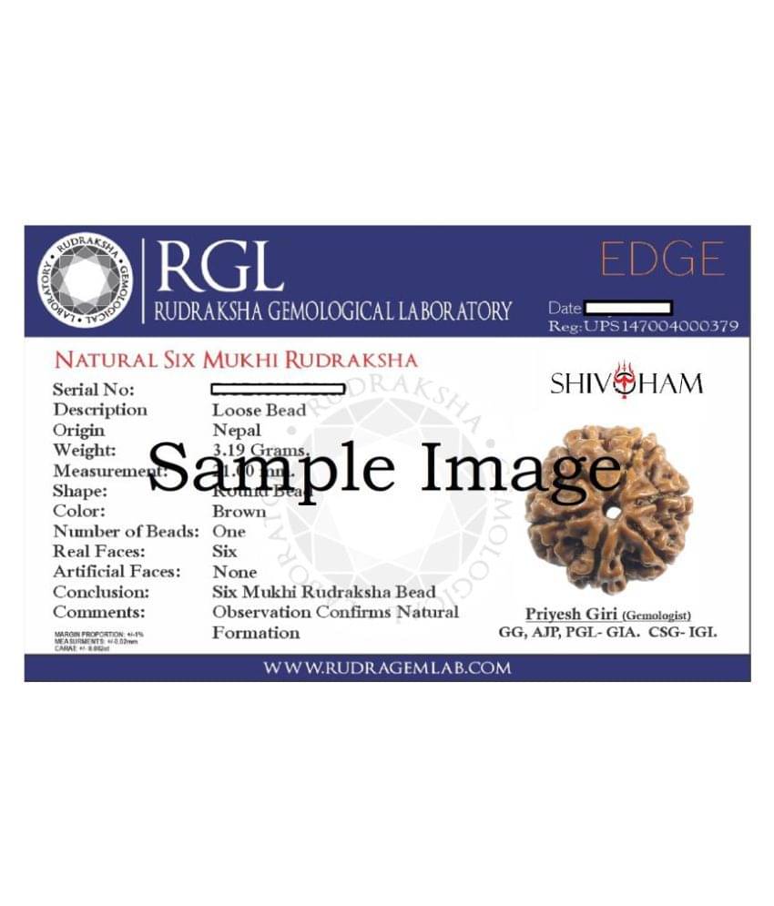 ShivaRatna Certified 8 Mukhi Nepali Rudraksha (18-21 mm Size) Good Shape & Matured Bead ShivaRatna Certified 8 Mukhi Nepali Rudraksha (18-21 mm Size) Good Shape & Matured Bead