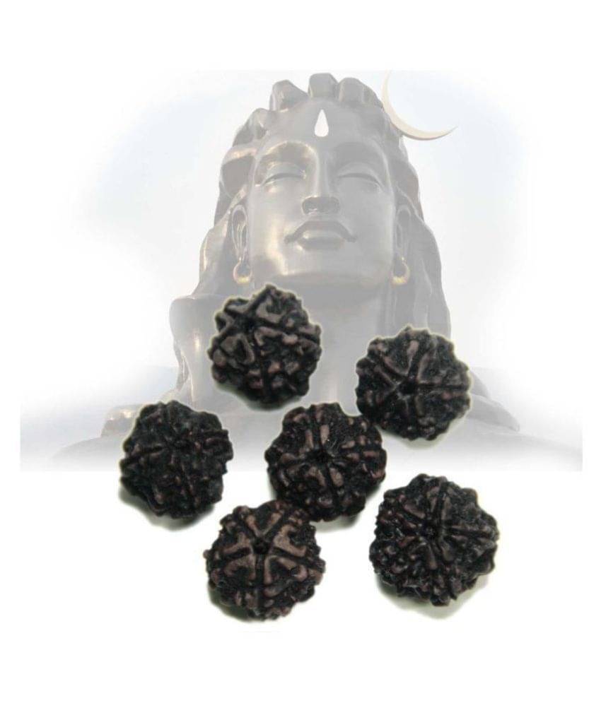     			HISTORICAL INDIA BLACK RUDRAKSHA Rudraksha Pack of 6