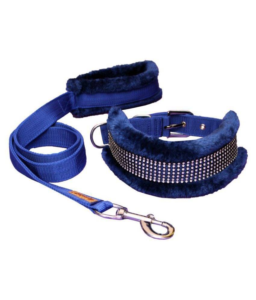     			Petshop7 - Blue Dog Combo (Large)