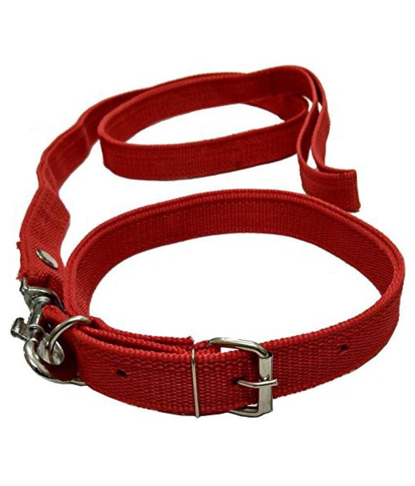     			Smart Doggie - Red Dog Collar (Small)