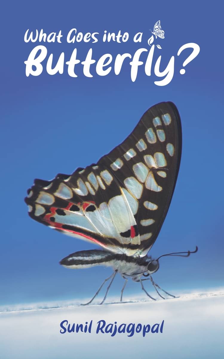     			What Goes into a Butterfly
