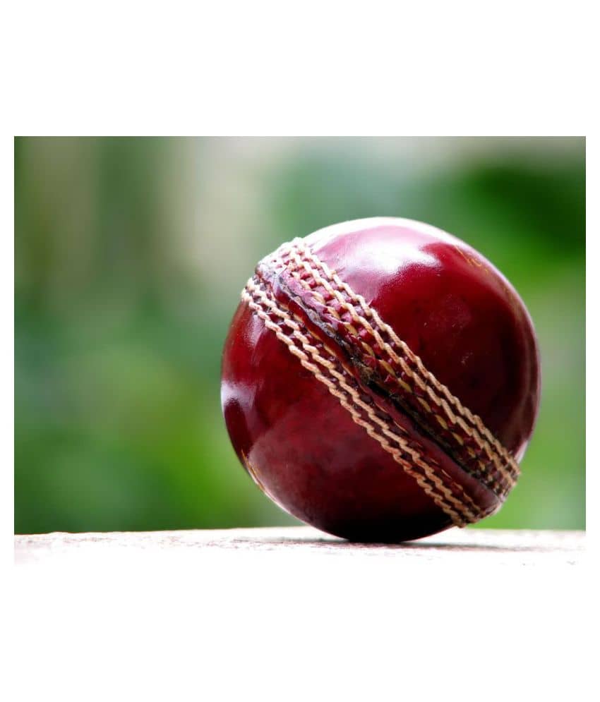 EmmEmm Finest Genuine Leather Cricket Ball - Sports and Fitness Equipment | Buy online on ZillyBuy