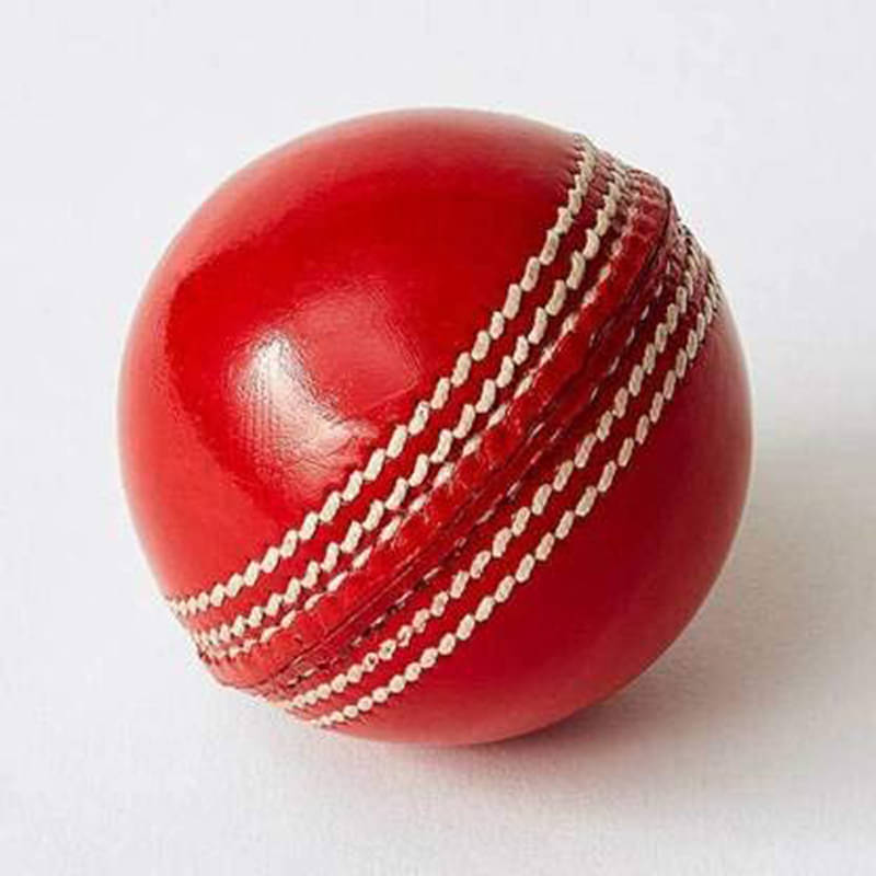     			EmmEmm Premium Genuine Leather Skull Cricket Ball for T-20 and ODI's