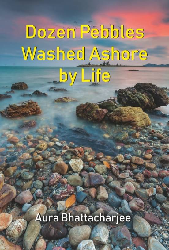 Dozen Pebbles Washed Ashore by Life     			Dozen Pebbles Washed Ashore by Life